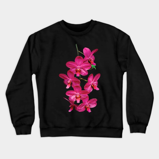 Orchids - Cascade Magenta Orchids Crewneck Sweatshirt by SusanSavad